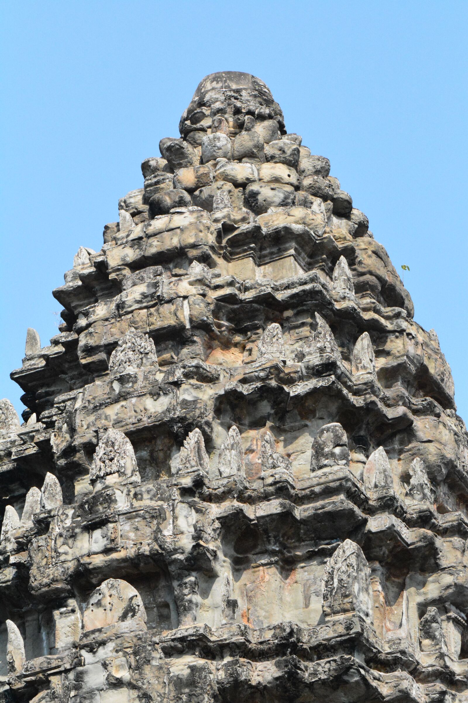 Nikon D7100 sample photo