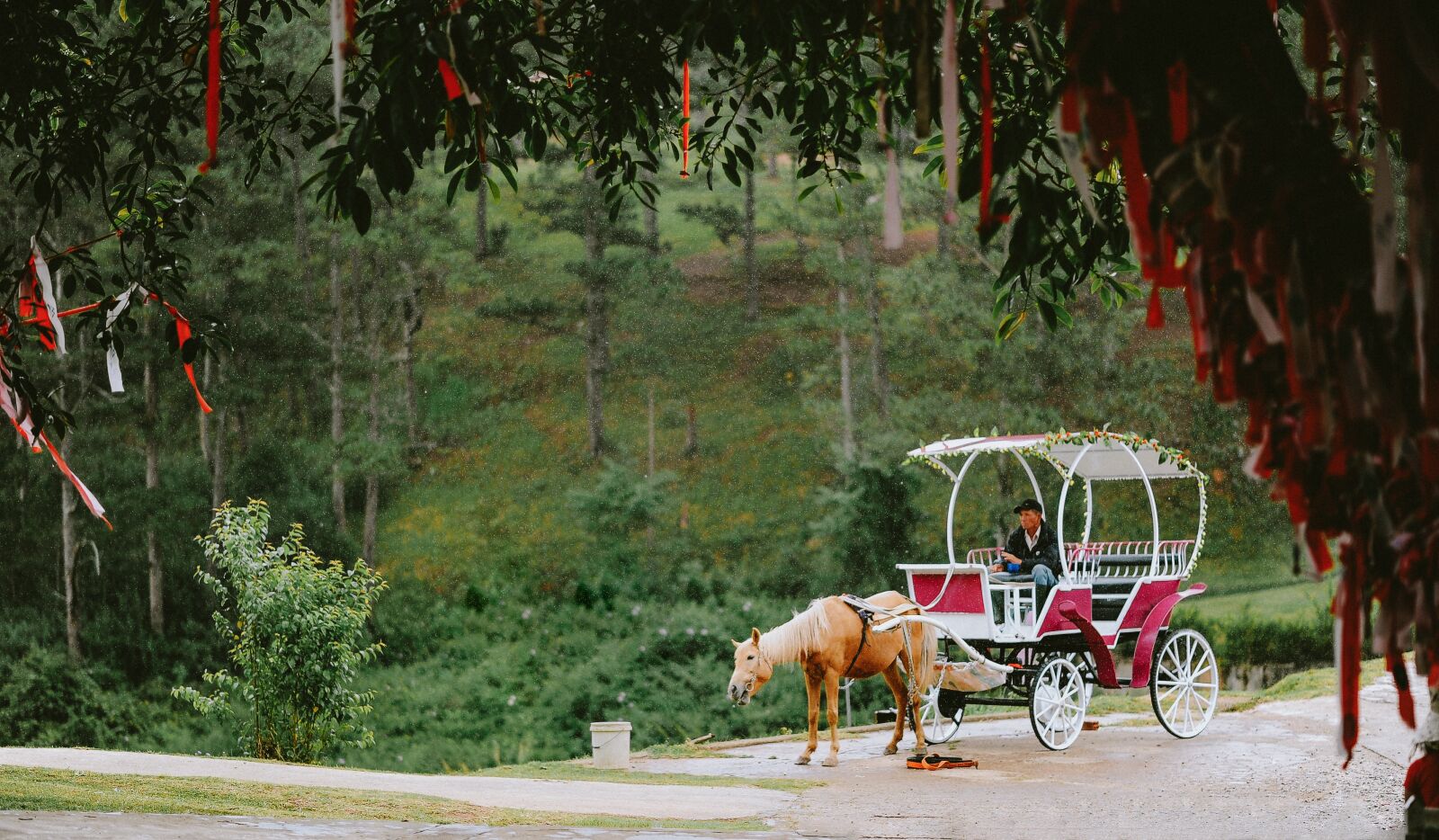 Nikon D700 sample photo. Landscape, travel, cute photography