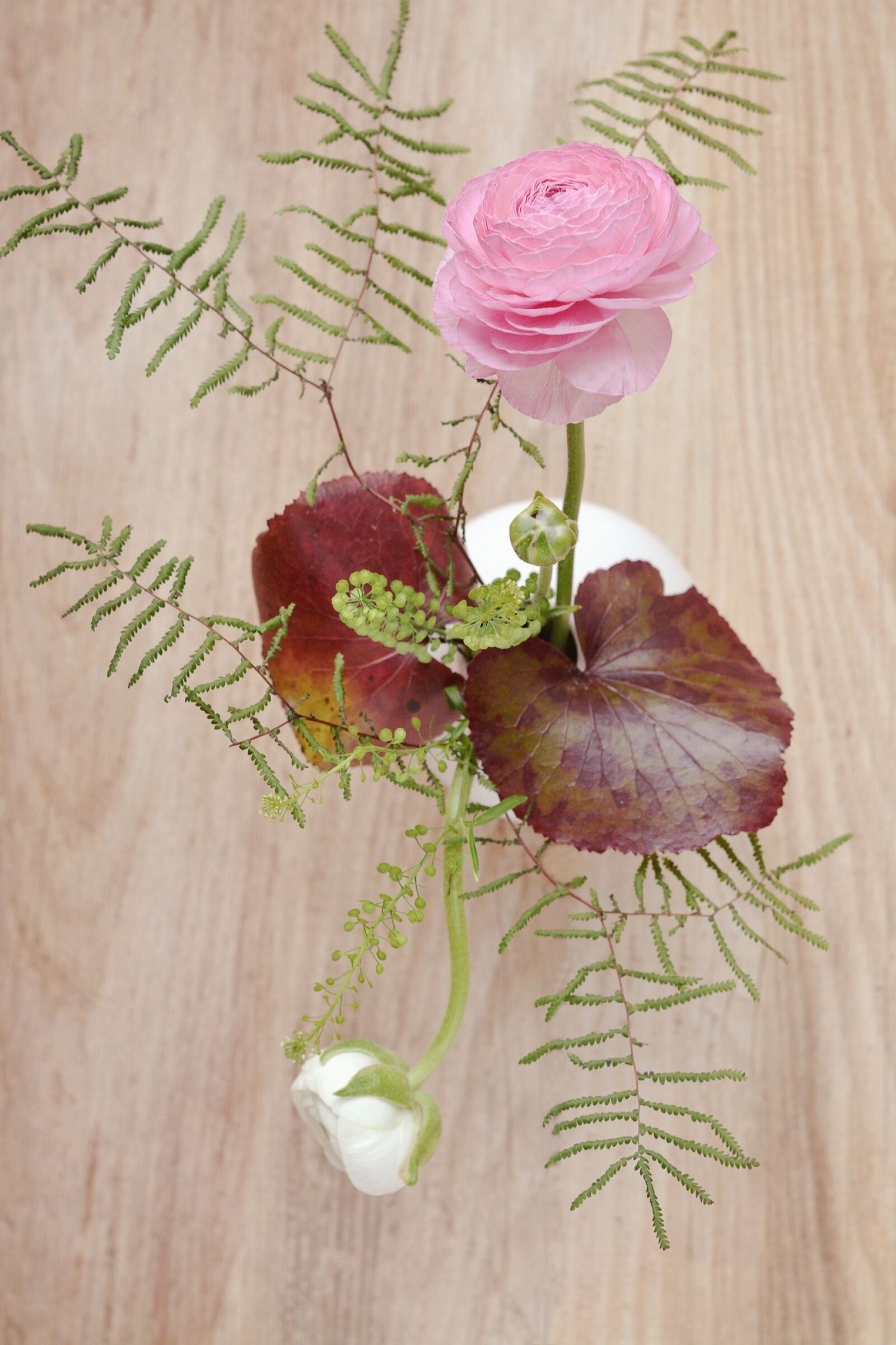 Nikon D7100 sample photo. Ranunculus, pink, white photography