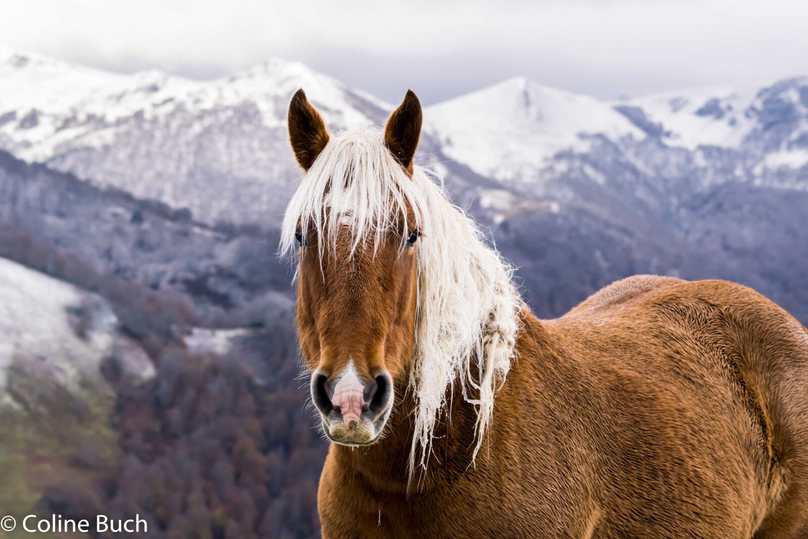 Nikon D3300 sample photo. Pyrenees, montagne, paysage, neige photography