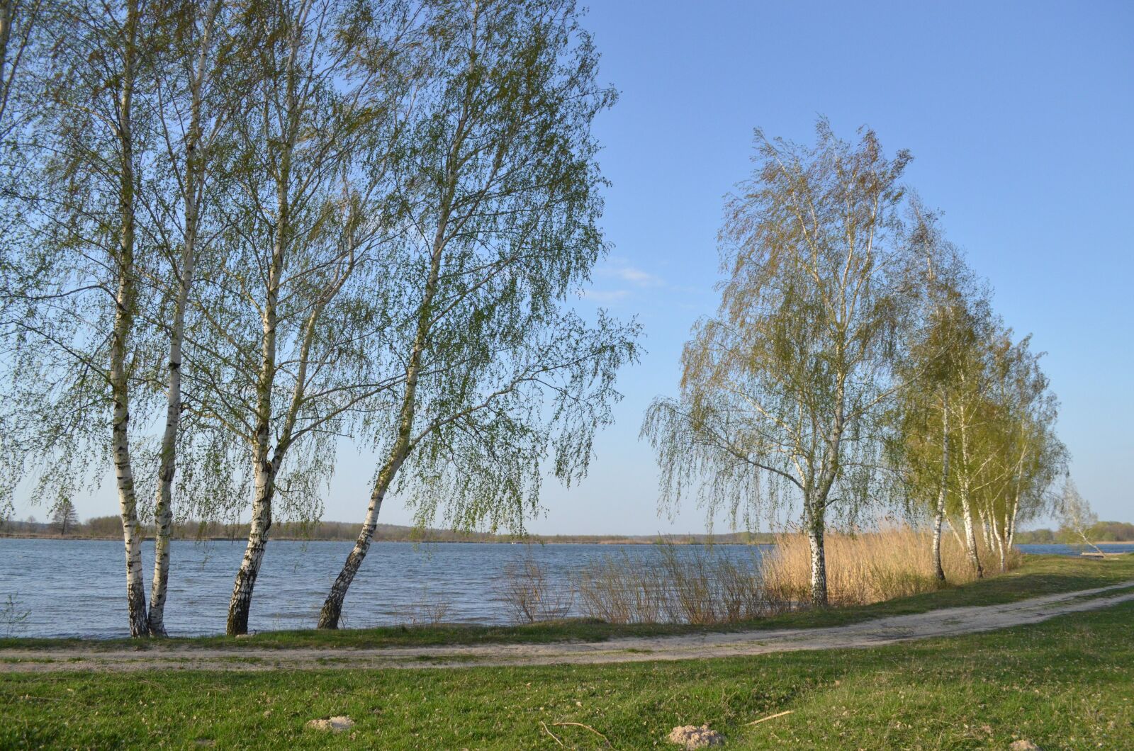 Nikon D5100 sample photo. Nature, spring, lake photography