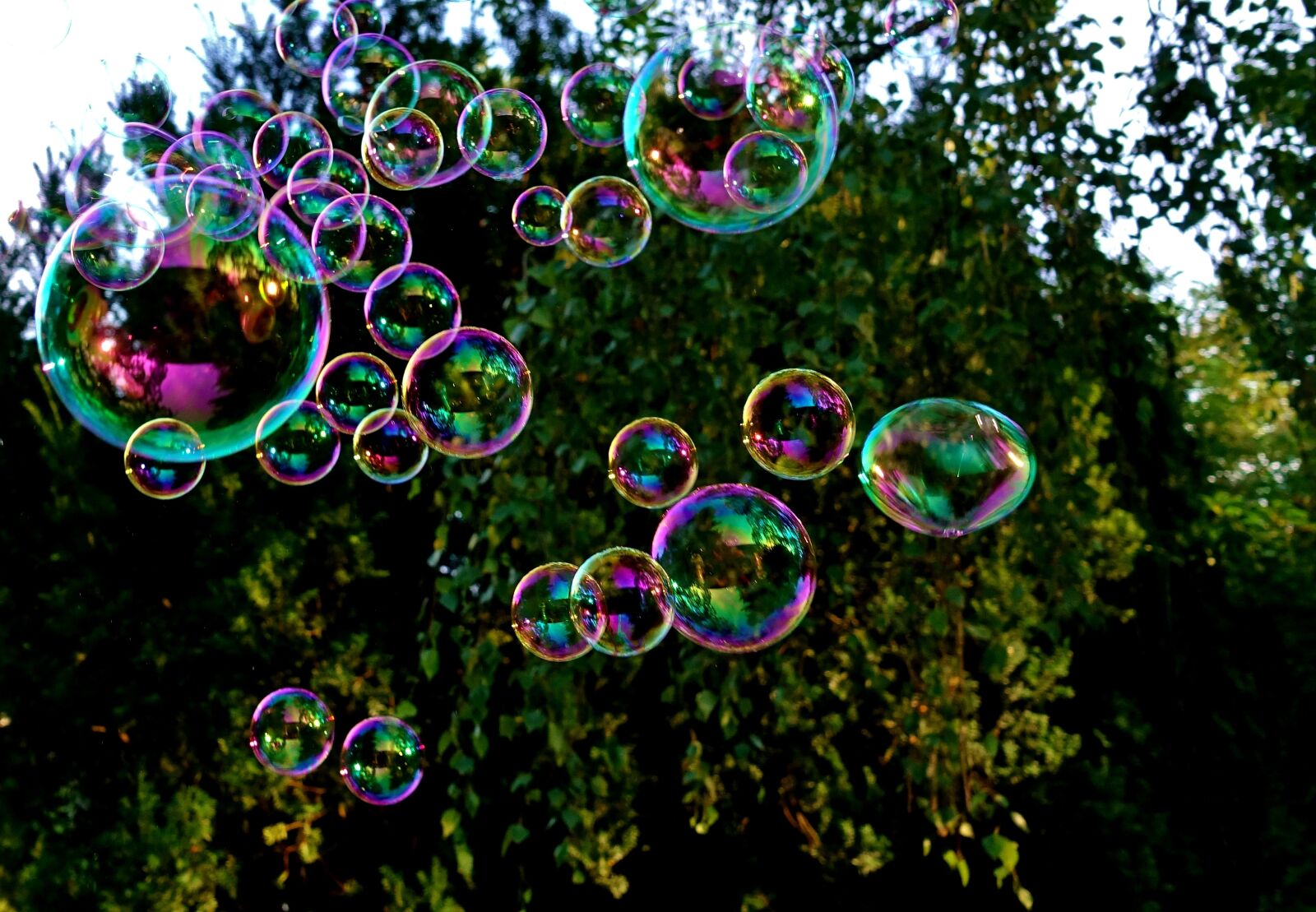 Sony DSC-RX100M5 sample photo. Soap bubbles, colorful, flying photography