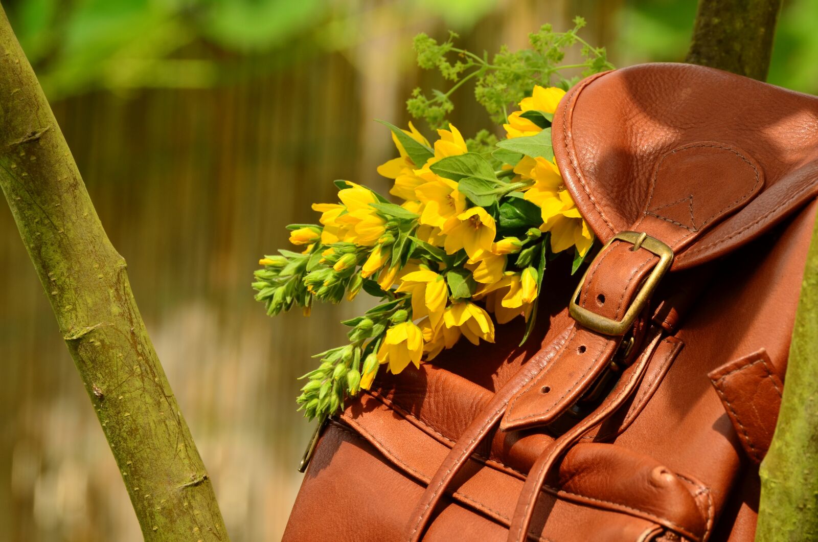 Nikon D5100 sample photo. Backpack, brown leather, closure photography