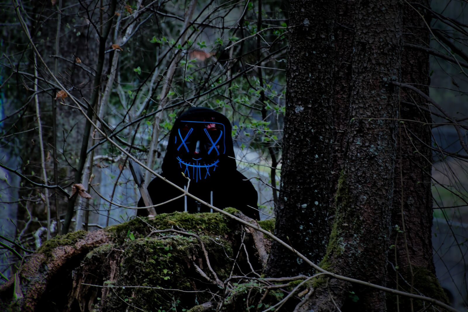 Nikon D5300 sample photo. Mask, purge, creepy photography