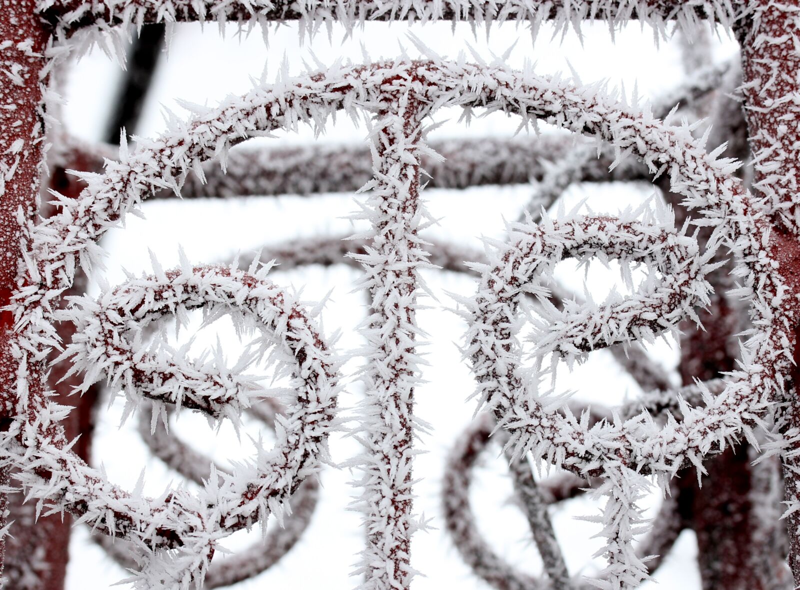 Canon EF-S 60mm F2.8 Macro USM sample photo. Fence, frozen, rime photography