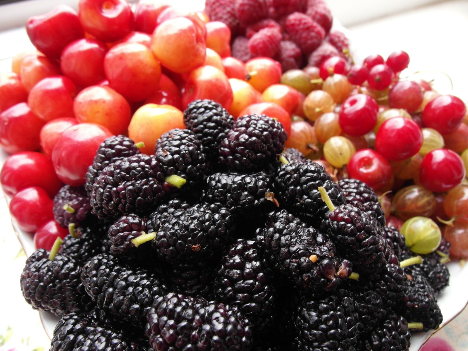 Samsung EX1 sample photo. Fruit, raspberries, mulberry photography