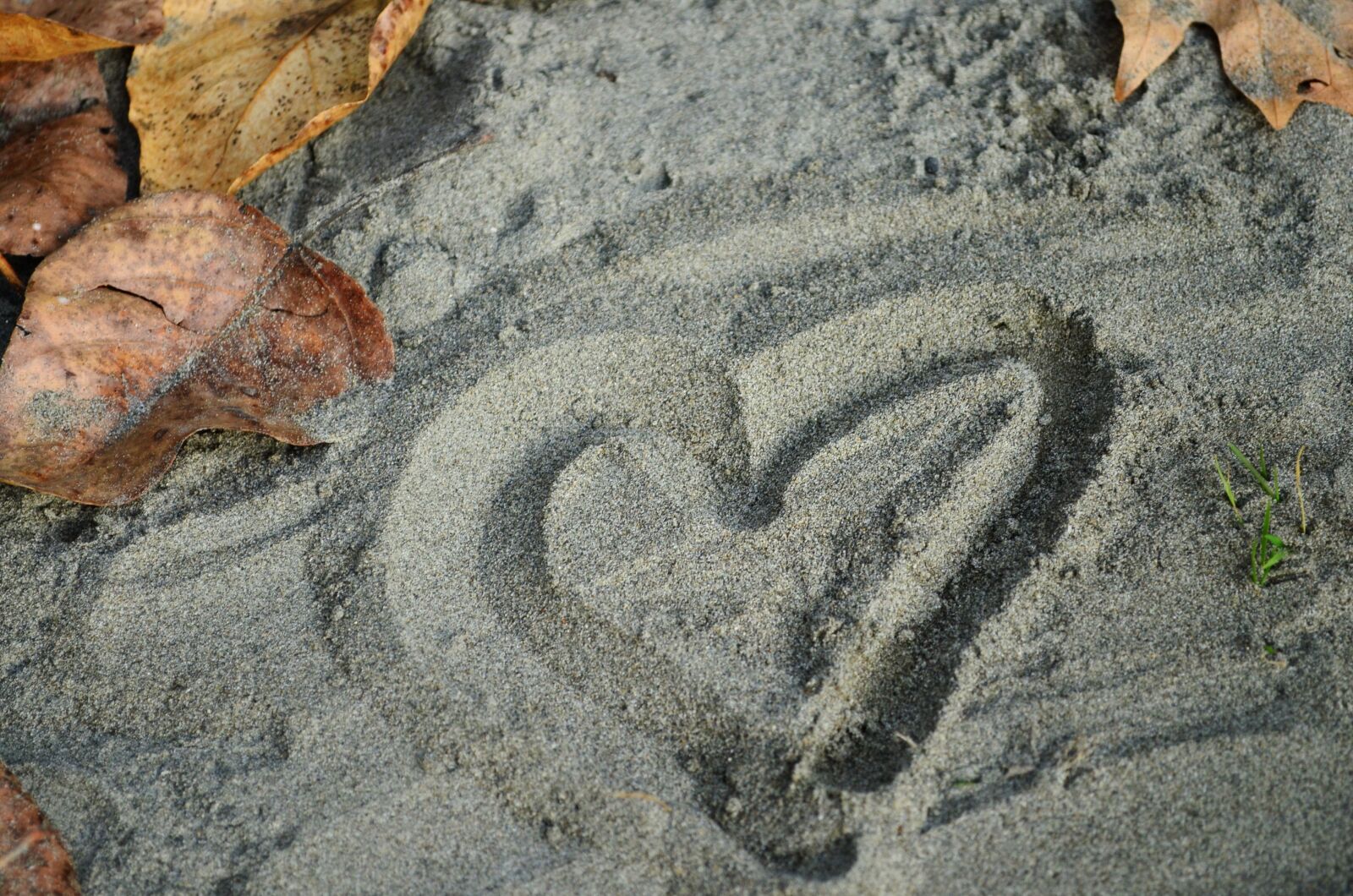 Nikon D5100 sample photo. Sand, heart, beach photography