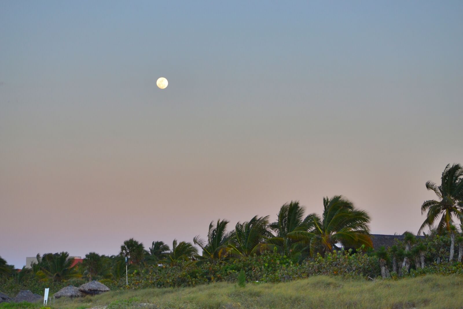 Nikon D3100 sample photo. Cuba, night photography