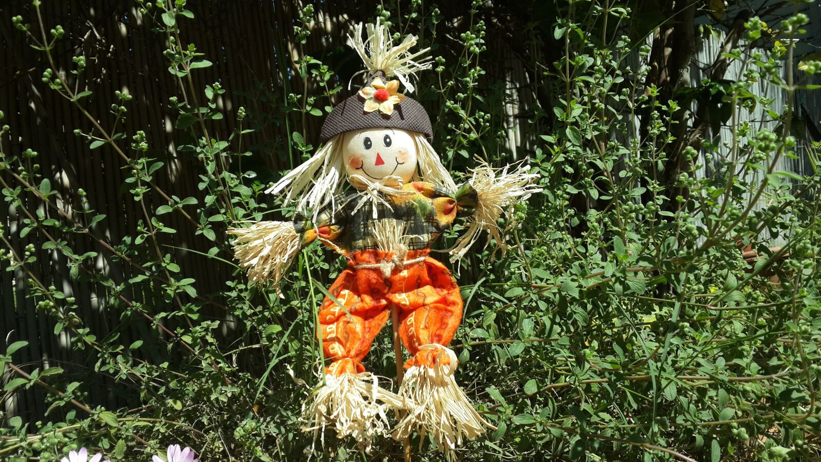 Samsung Galaxy S4 sample photo. Scarecrow, doll, traditional photography
