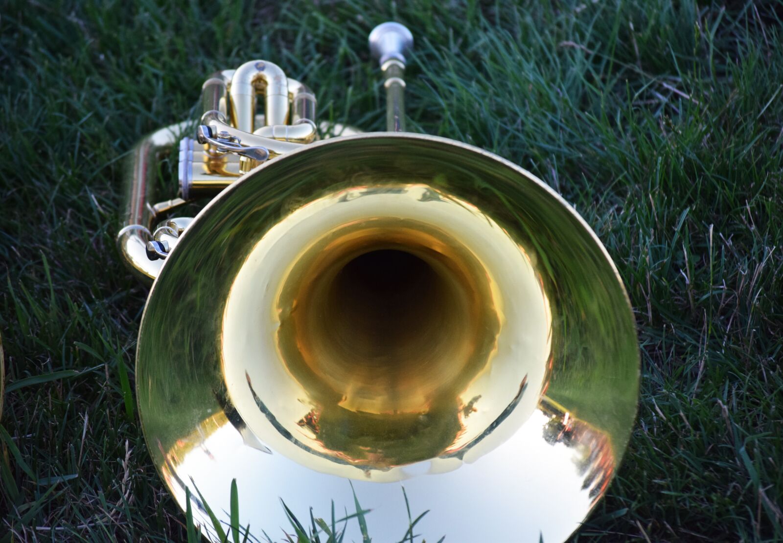 Nikon D3300 sample photo. Music, musical instruments, horns photography