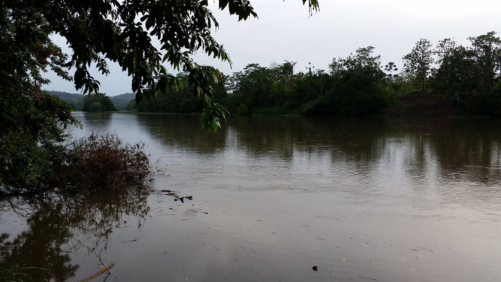 Samsung Galaxy S5 sample photo. Costa rica, san carlos photography