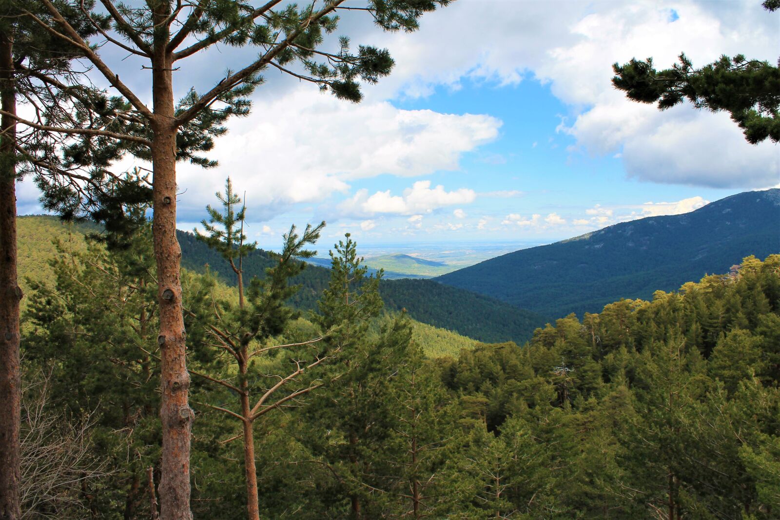 Canon EOS 1100D (EOS Rebel T3 / EOS Kiss X50) sample photo. Nature, mountain, landscape photography