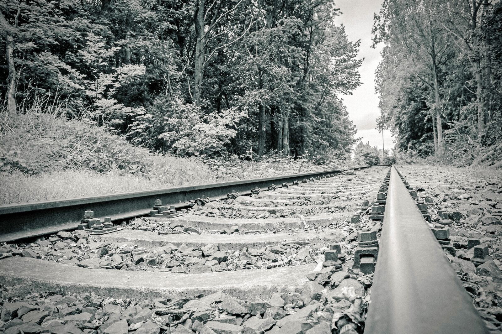 Canon EOS 70D sample photo. Rails, train, railway photography