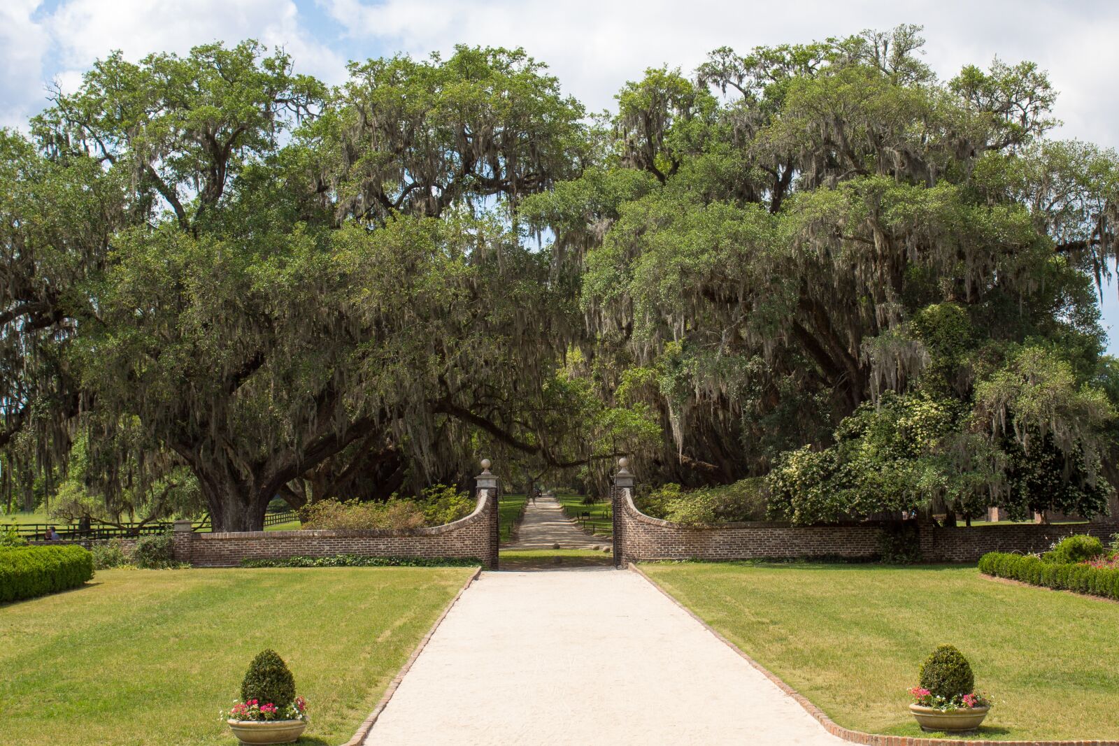 Canon EOS 600D (Rebel EOS T3i / EOS Kiss X5) sample photo. Boone plantation, lane, oak photography