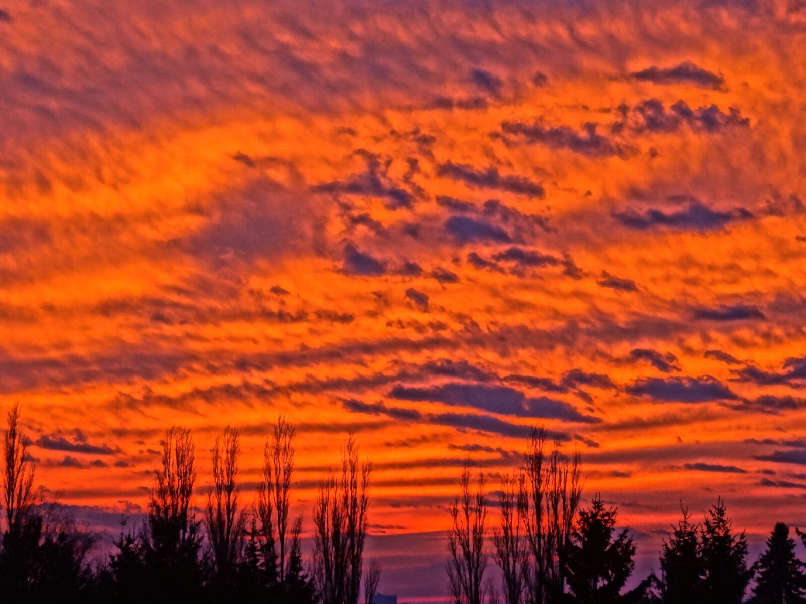 Sony Cyber-shot DSC-HX20V sample photo. Sunset, cloudscape, orange photography