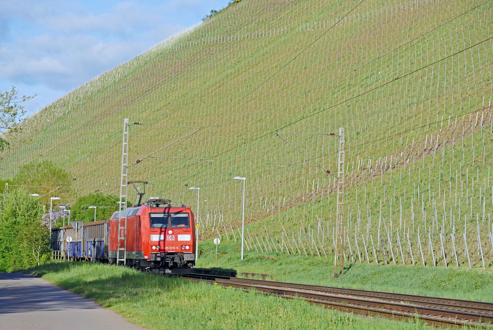 Panasonic Lumix DMC-GX8 sample photo. Vineyard, slope, saar valley photography