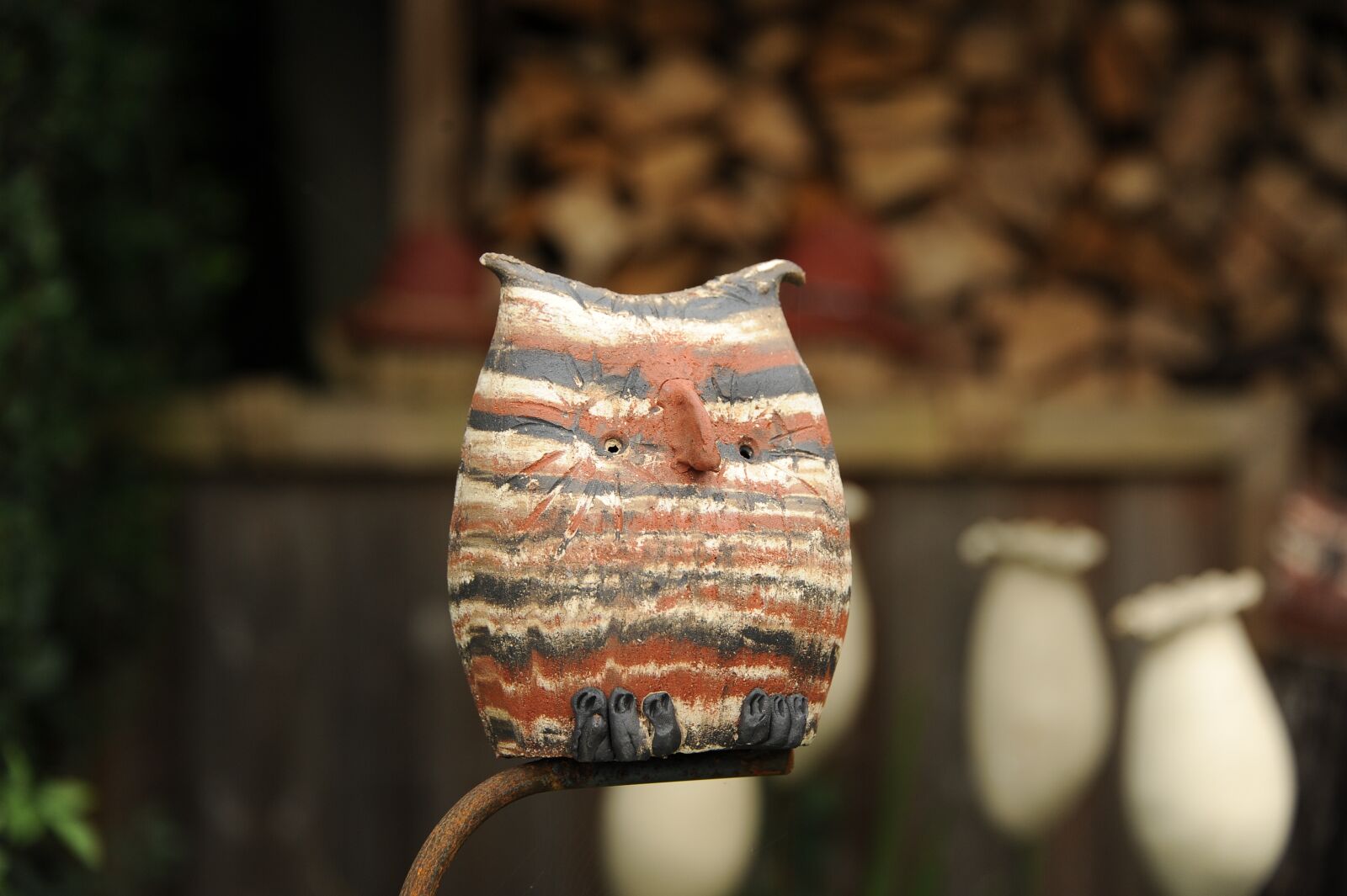 Nikon D3S sample photo. Owl, bird, colorful photography