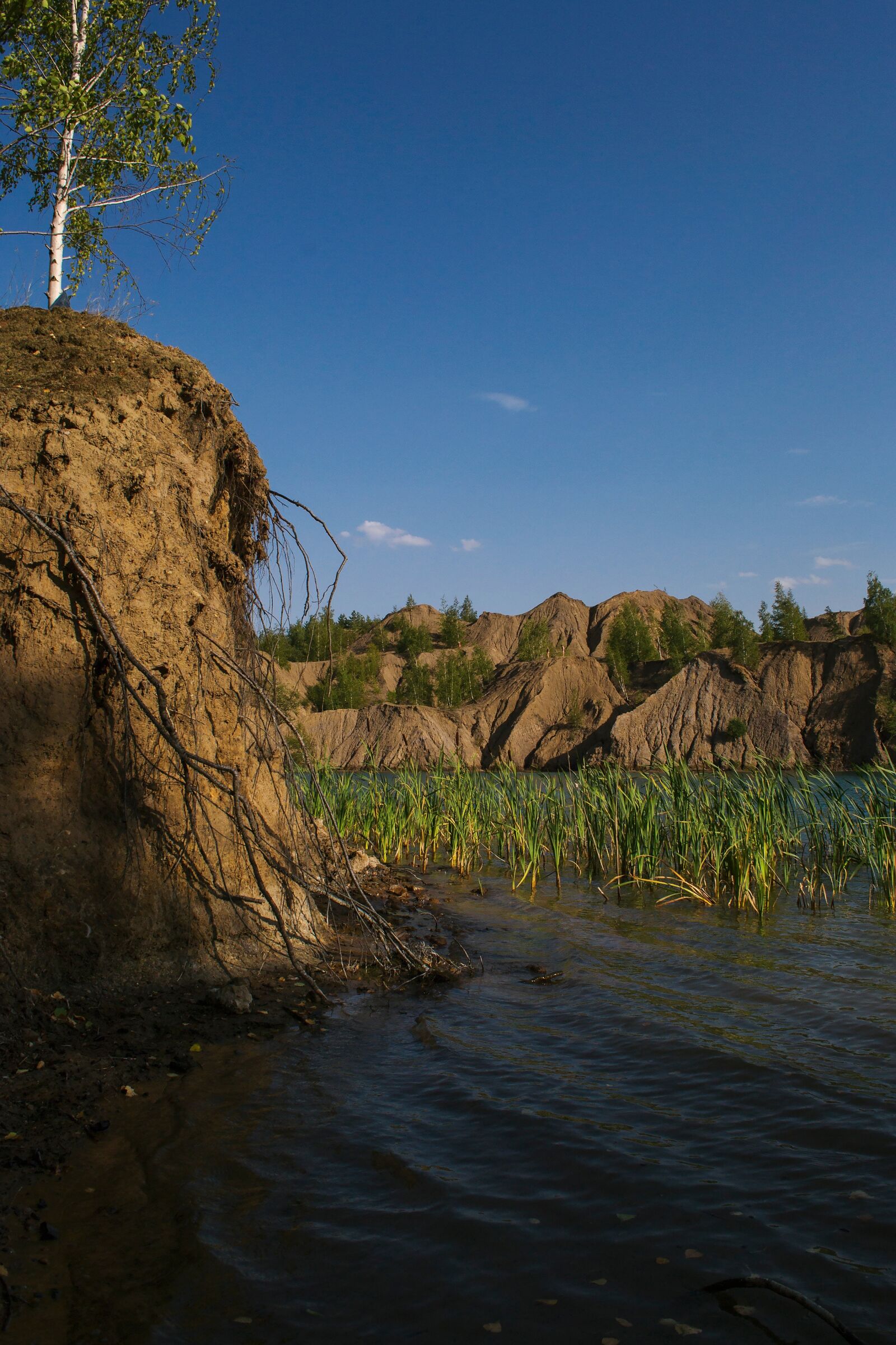 Nikon D3100 sample photo. Nature, sunset, summer photography