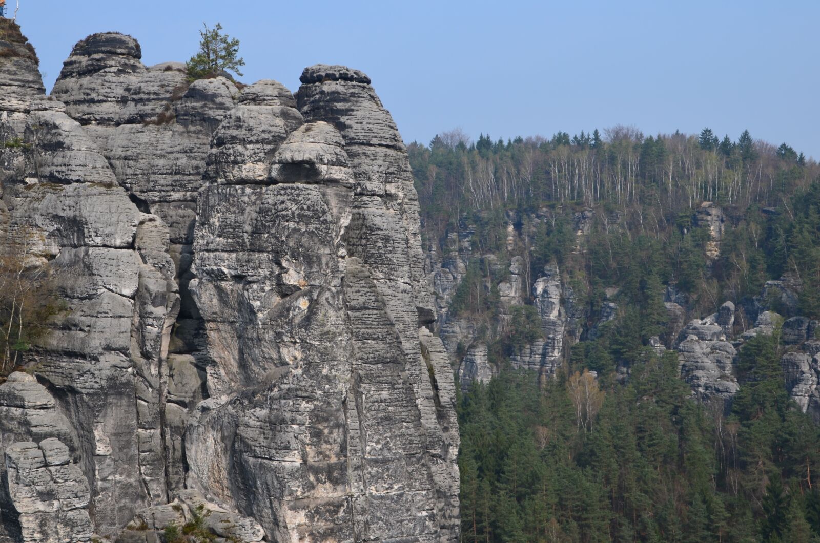 Nikon D5100 sample photo. Saxon switzerland, elbe sandstone photography