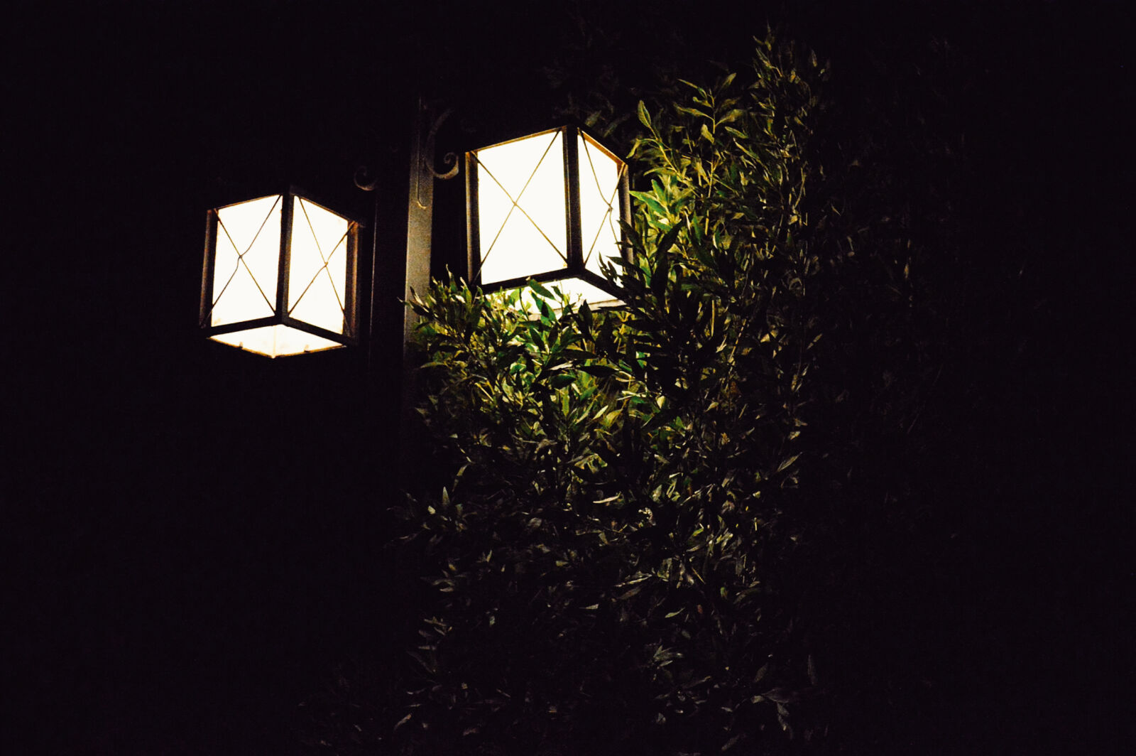 Nikon D3200 sample photo