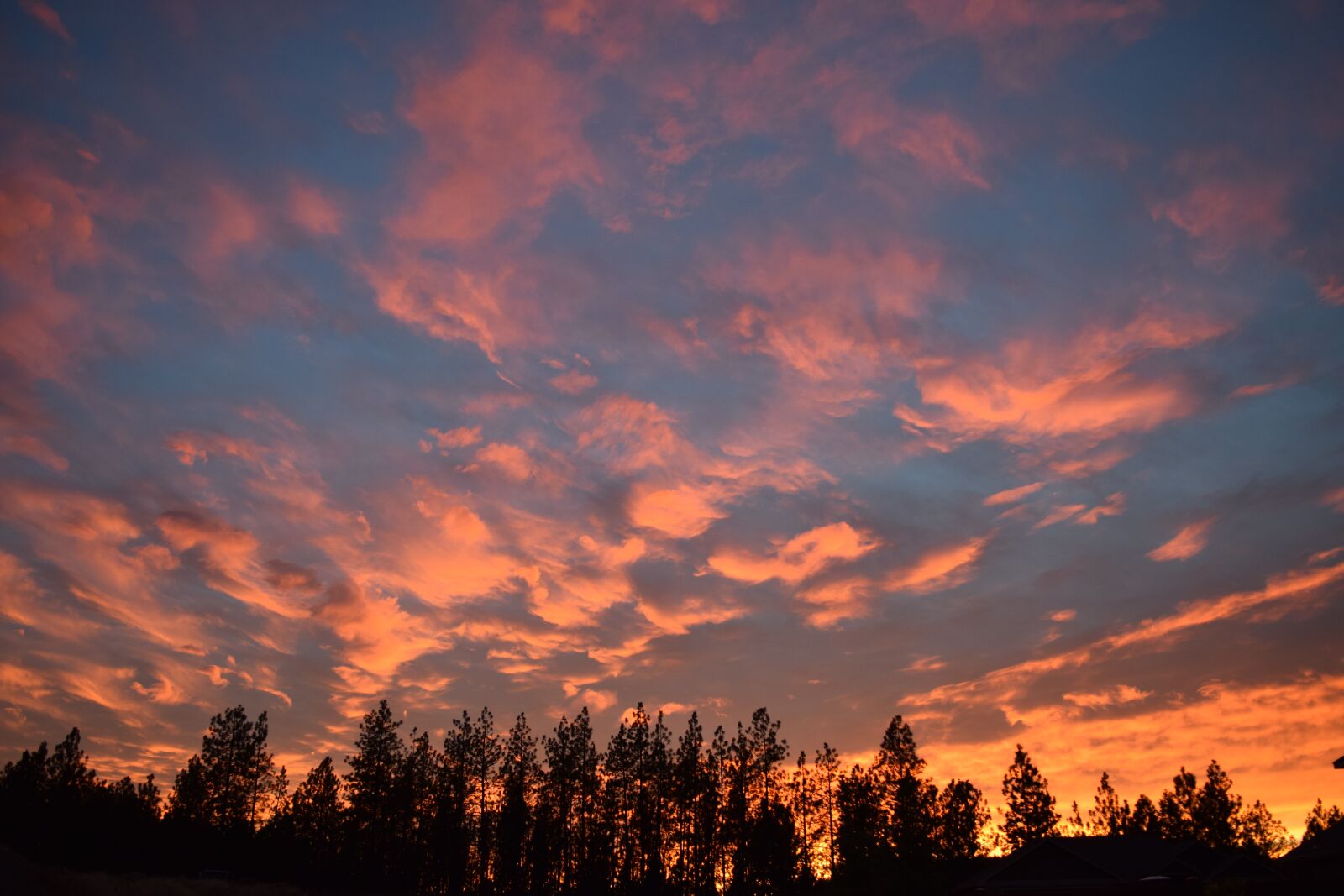 Nikon D5300 sample photo. Sunset, sky, horizon photography