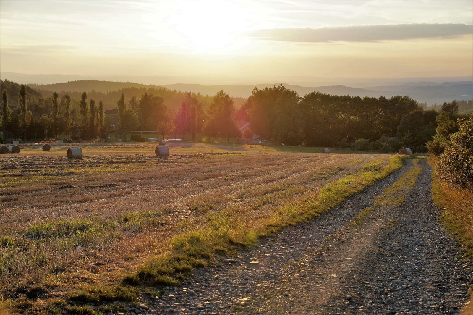 Sony SLT-A58 sample photo. Path, field, landscape photography