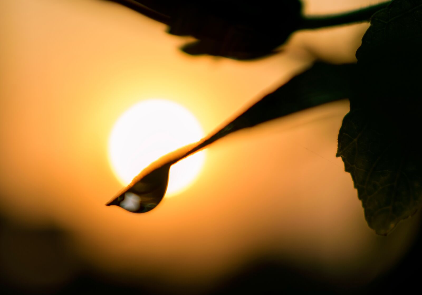 Nikon D3400 sample photo. Sunset, water droplet, drops photography