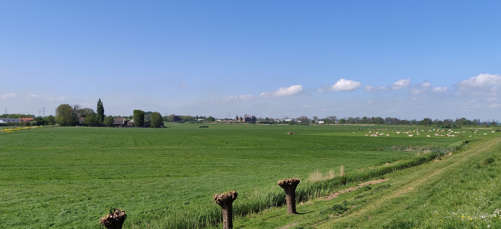 OnePlus 6T sample photo. Holland, netherlands, amsterdam photography