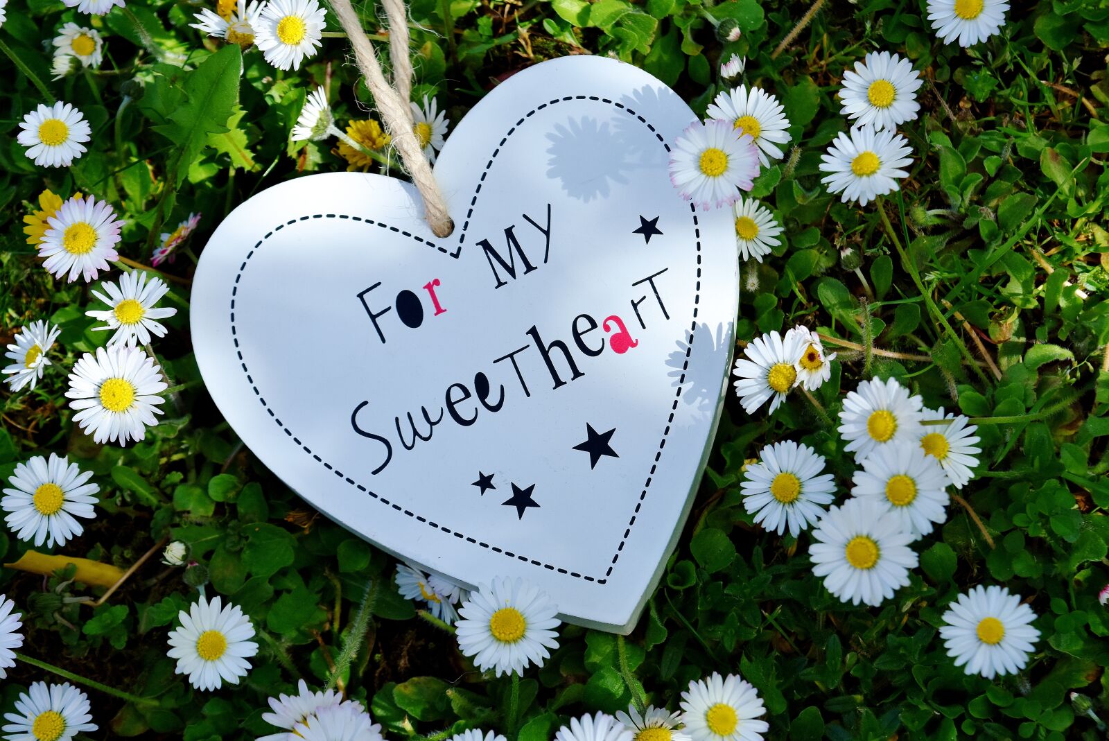 Nikon D7200 sample photo. Love, heart, valentine's day photography