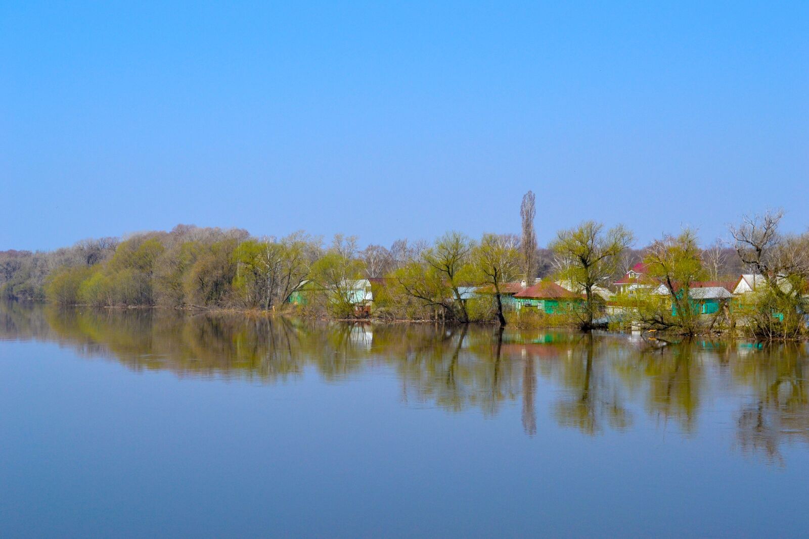 Nikon D3100 sample photo. Water, nature, reflection photography