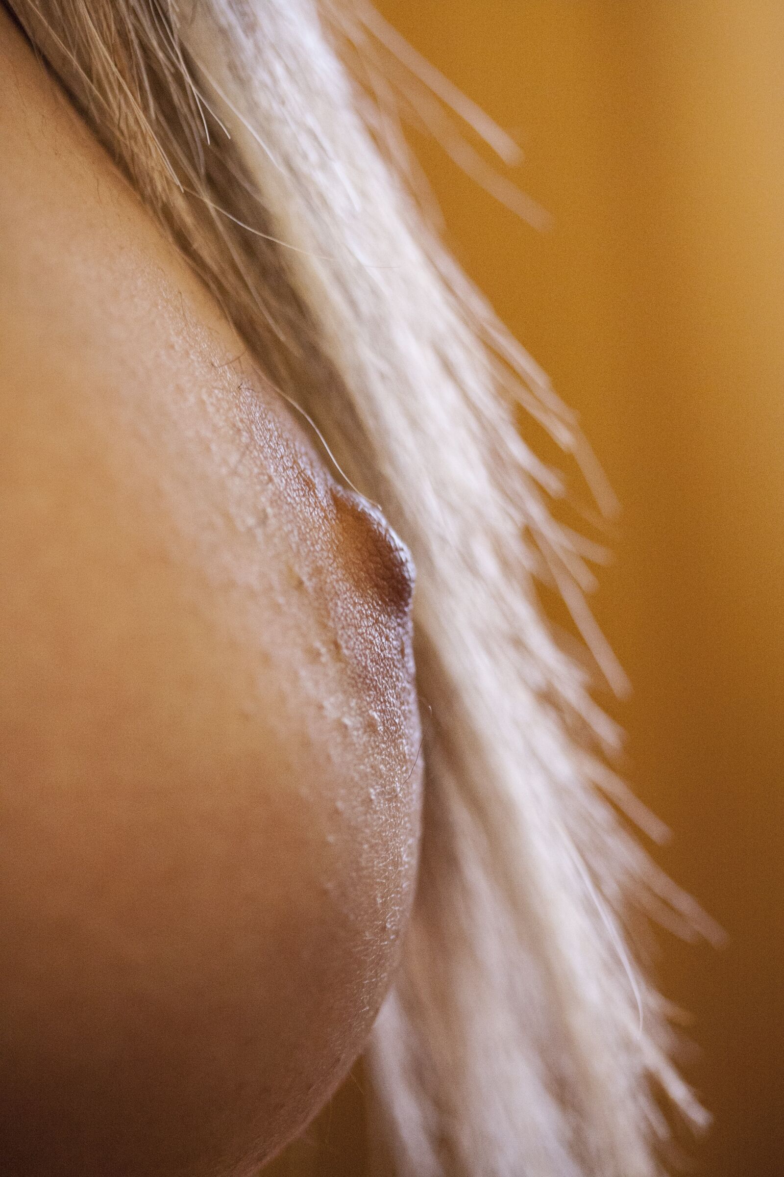 Canon EOS 40D sample photo. Breast, nipple, erotic photography