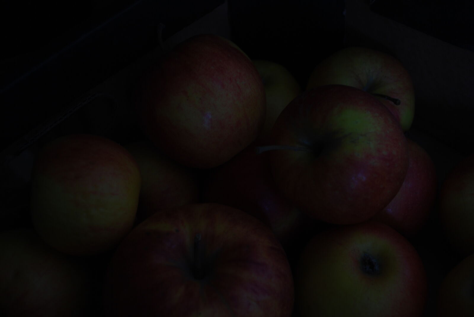 Nikon D60 sample photo. Apple, dark, sin photography