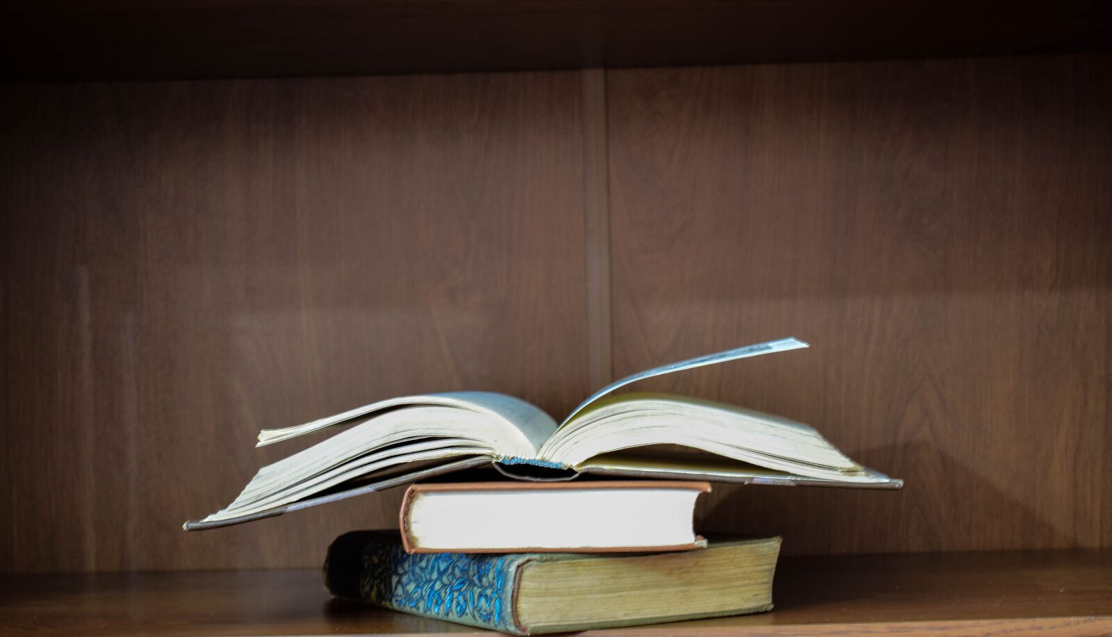 Nikon D5300 sample photo. Books, regiment, library photography