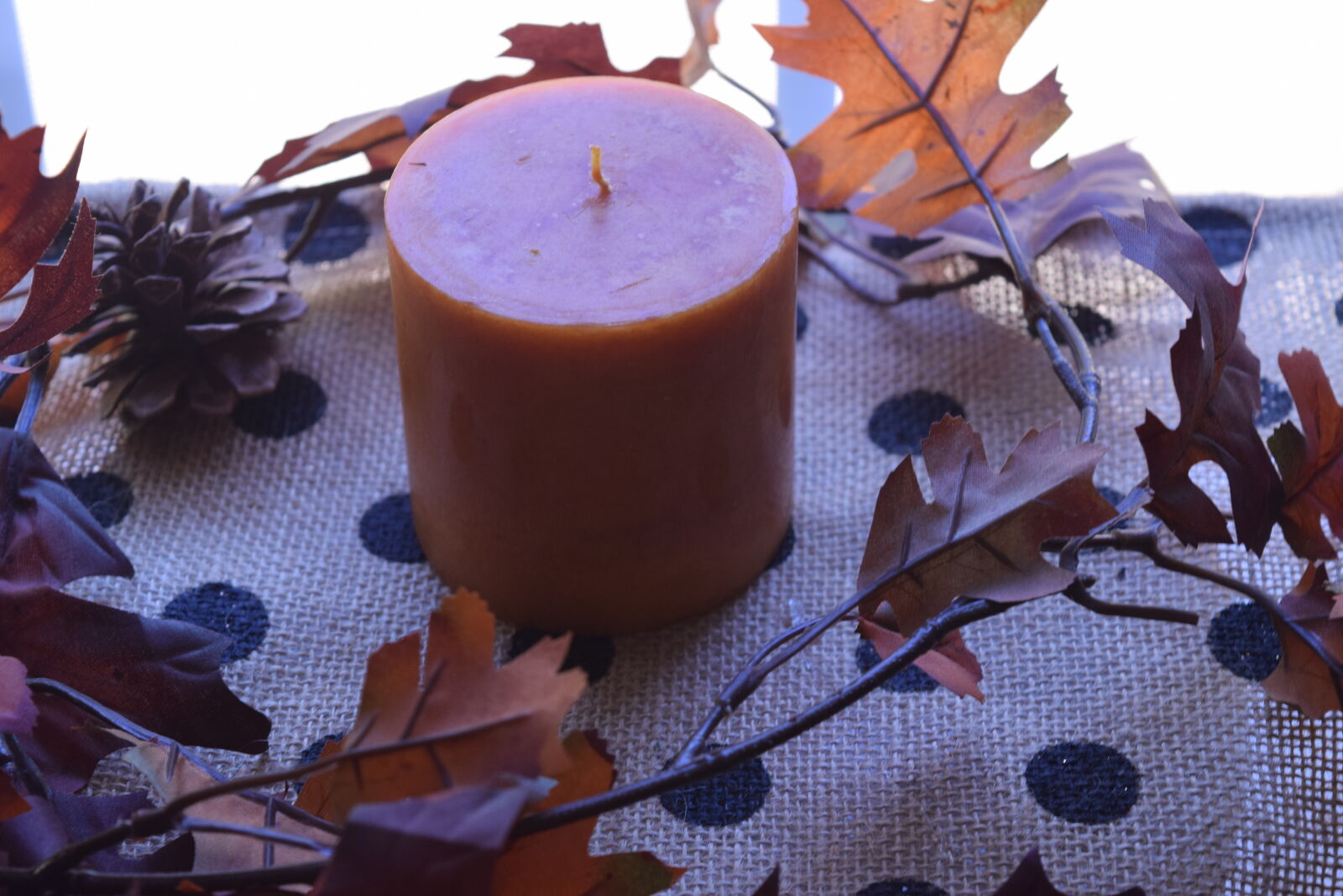 Nikon D3300 sample photo. Autumn, leaf, candle, fall photography