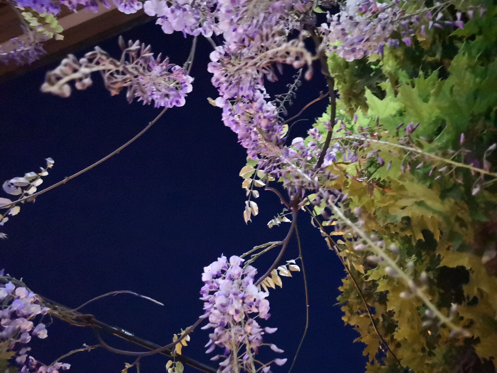 HUAWEI P20 sample photo. Blue rain, at night photography