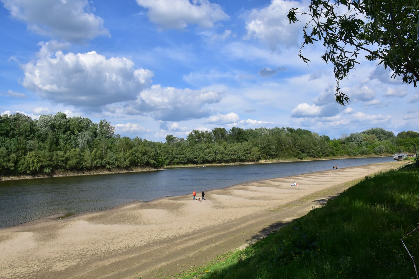 Nikon D5600 sample photo. River, low water level photography