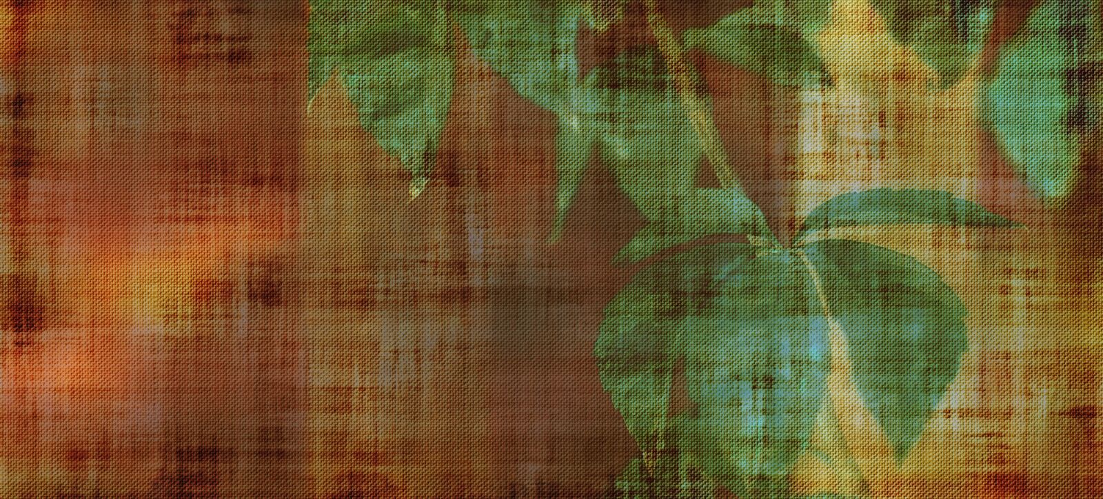 Nikon D5100 sample photo. Parchment, paper, leaves photography