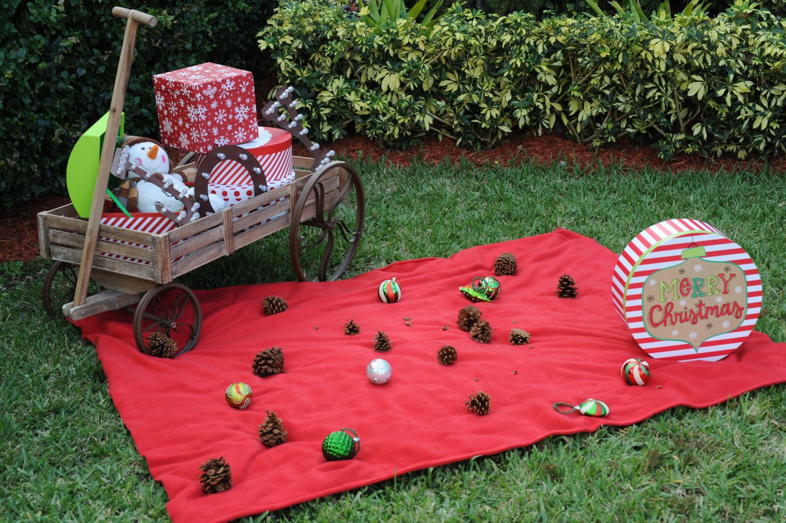 Nikon D3 sample photo. Christmas, season, decor photography