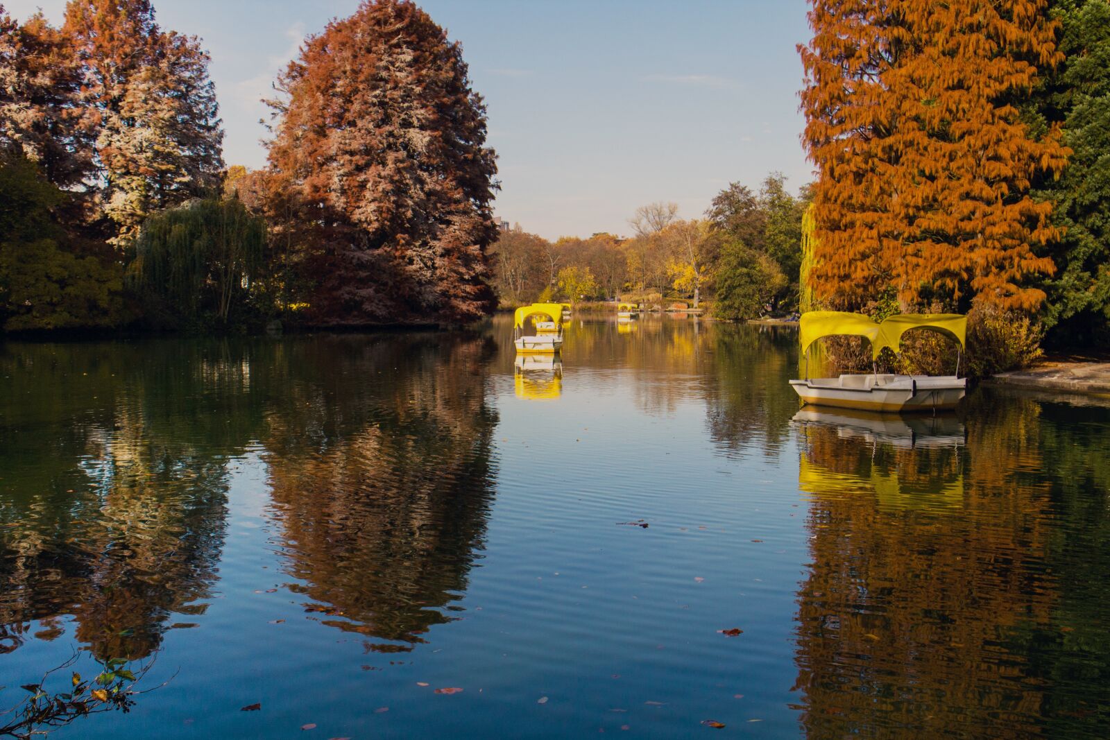 Canon EOS 600D (Rebel EOS T3i / EOS Kiss X5) sample photo. Autumn, autumn mood, coloring photography
