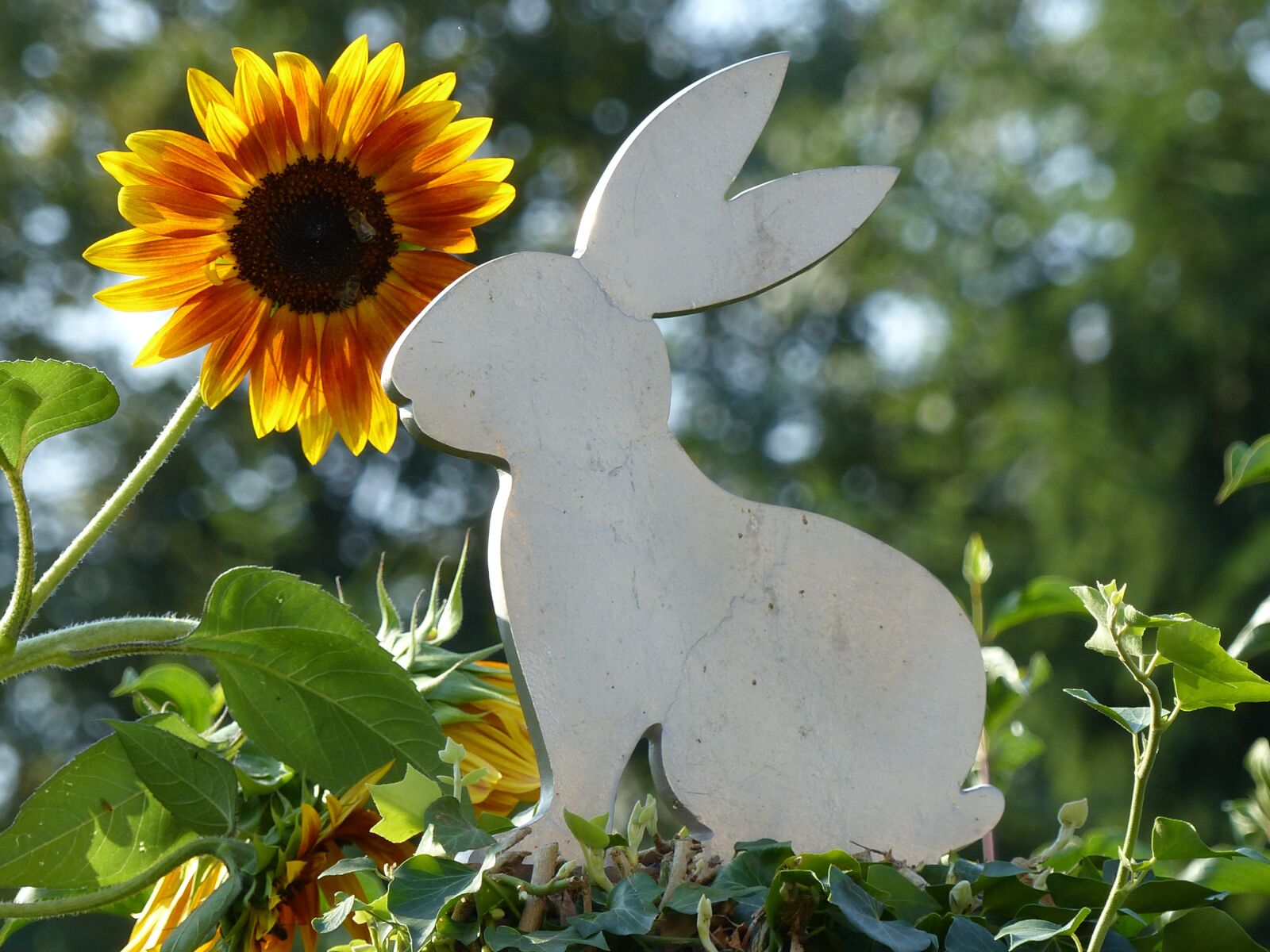 Panasonic Lumix DMC-FZ200 sample photo. Art, hare, easter photography