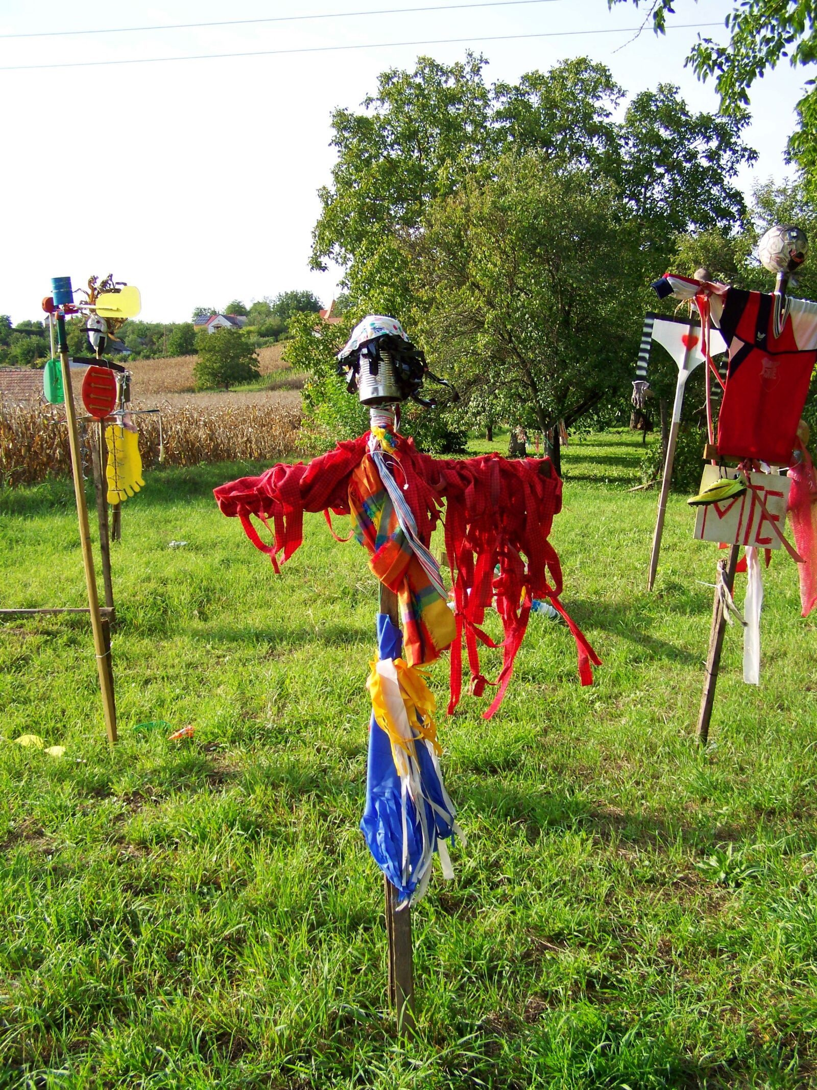 Kodak EASYSHARE ZD710 ZOOM DIGITAL CAMERA sample photo. Scarecrow, puppies, funny photography