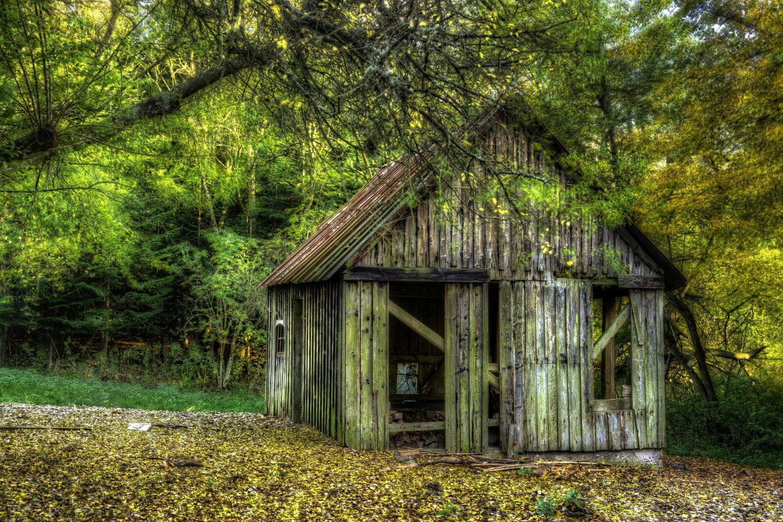 Nikon D7100 sample photo. Woodshed, lack of maintenance photography