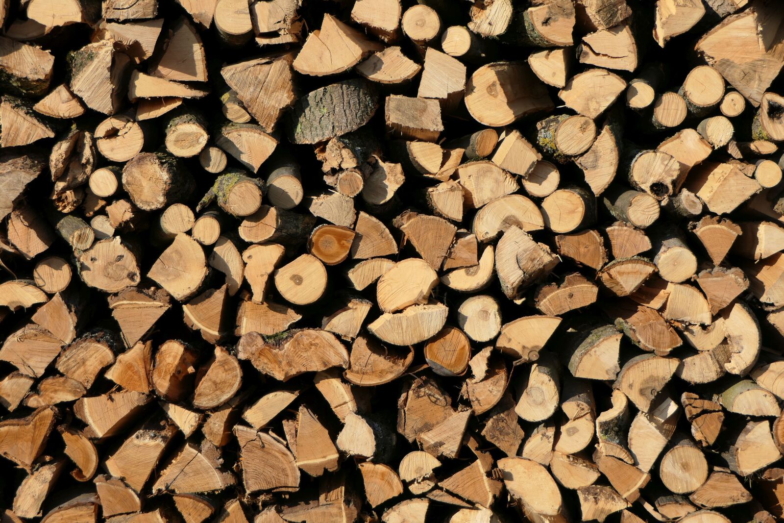 Panasonic Lumix DMC-FZ2500 (Lumix DMC-FZ2000) sample photo. Holzstapel, wood, growing stock photography