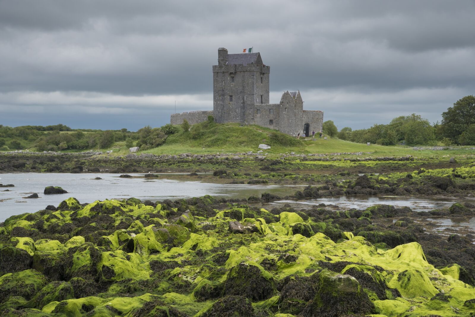 Nikon D750 sample photo. Dunguaire castle, co galway photography