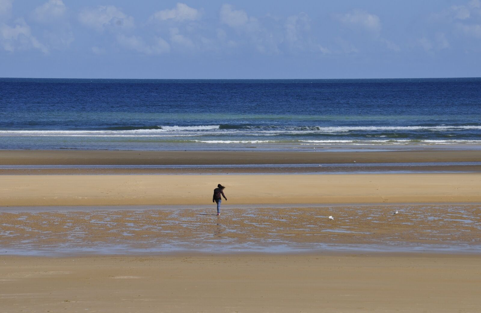Nikon D5000 sample photo. Beach, omaha beach, sea photography