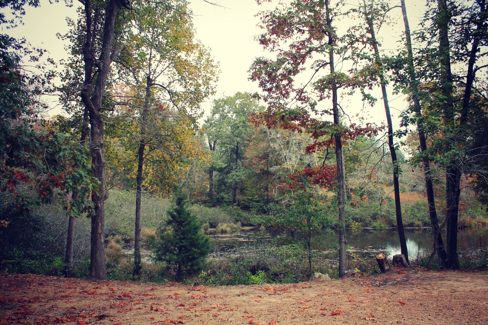Canon EOS 1100D (EOS Rebel T3 / EOS Kiss X50) sample photo. Autumn, fall, lake photography