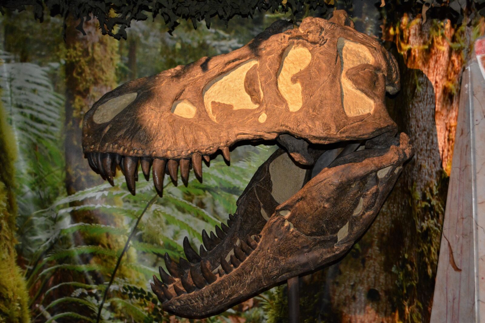 Nikon D5200 sample photo. Dinosaur, dino, carnivorous dinosaurs photography