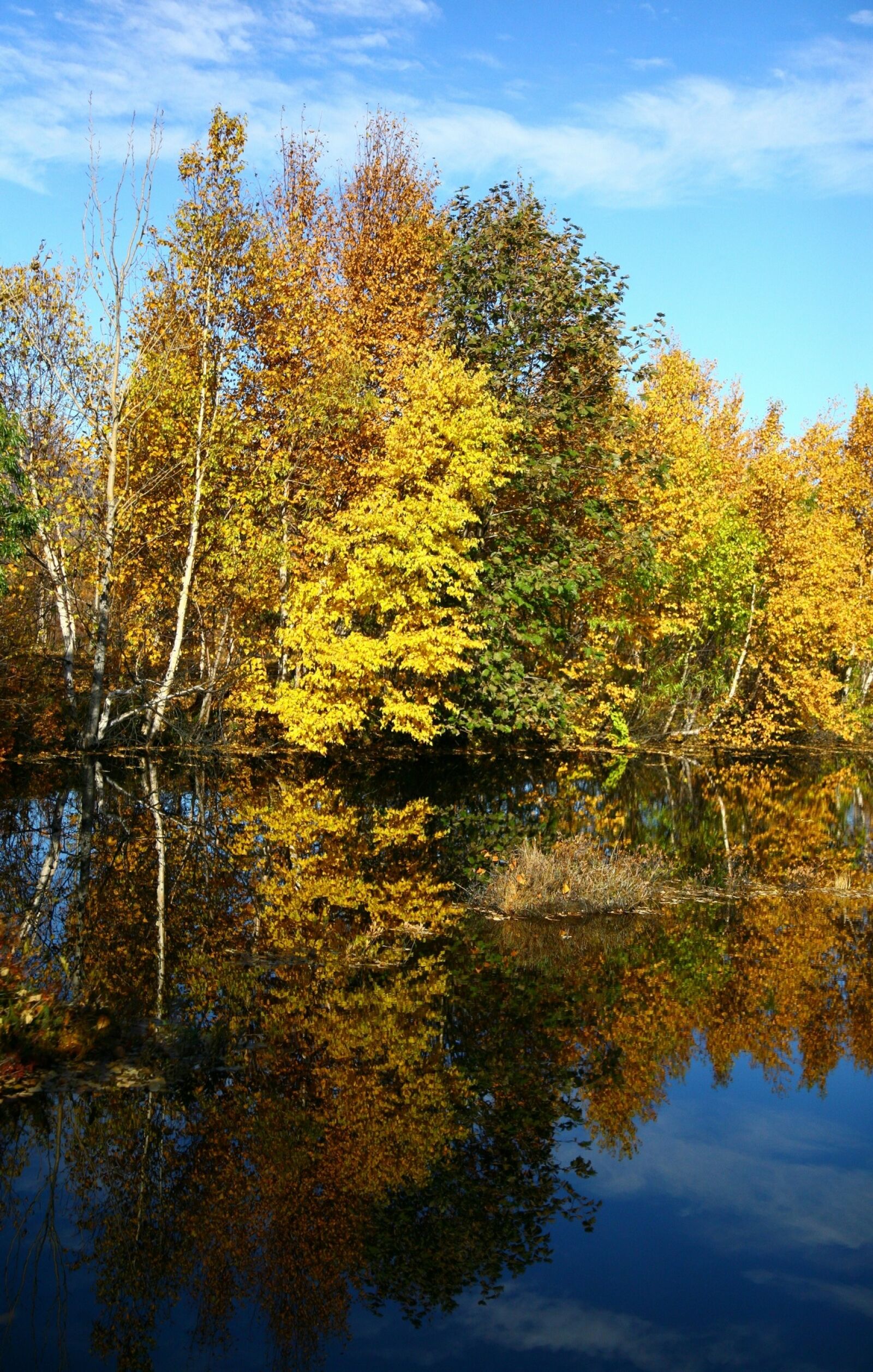 Canon EOS 5D sample photo. Autumn, forest, lake photography