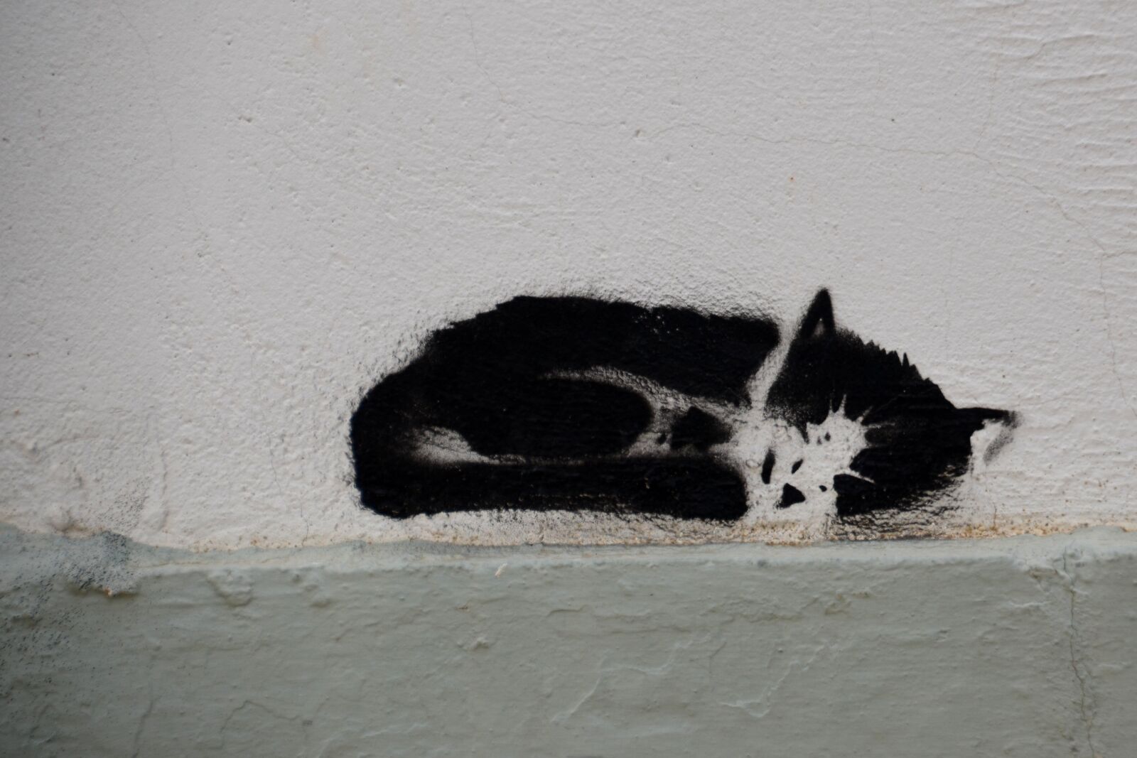 Nikon D5100 sample photo. Cat, grafiti, art photography