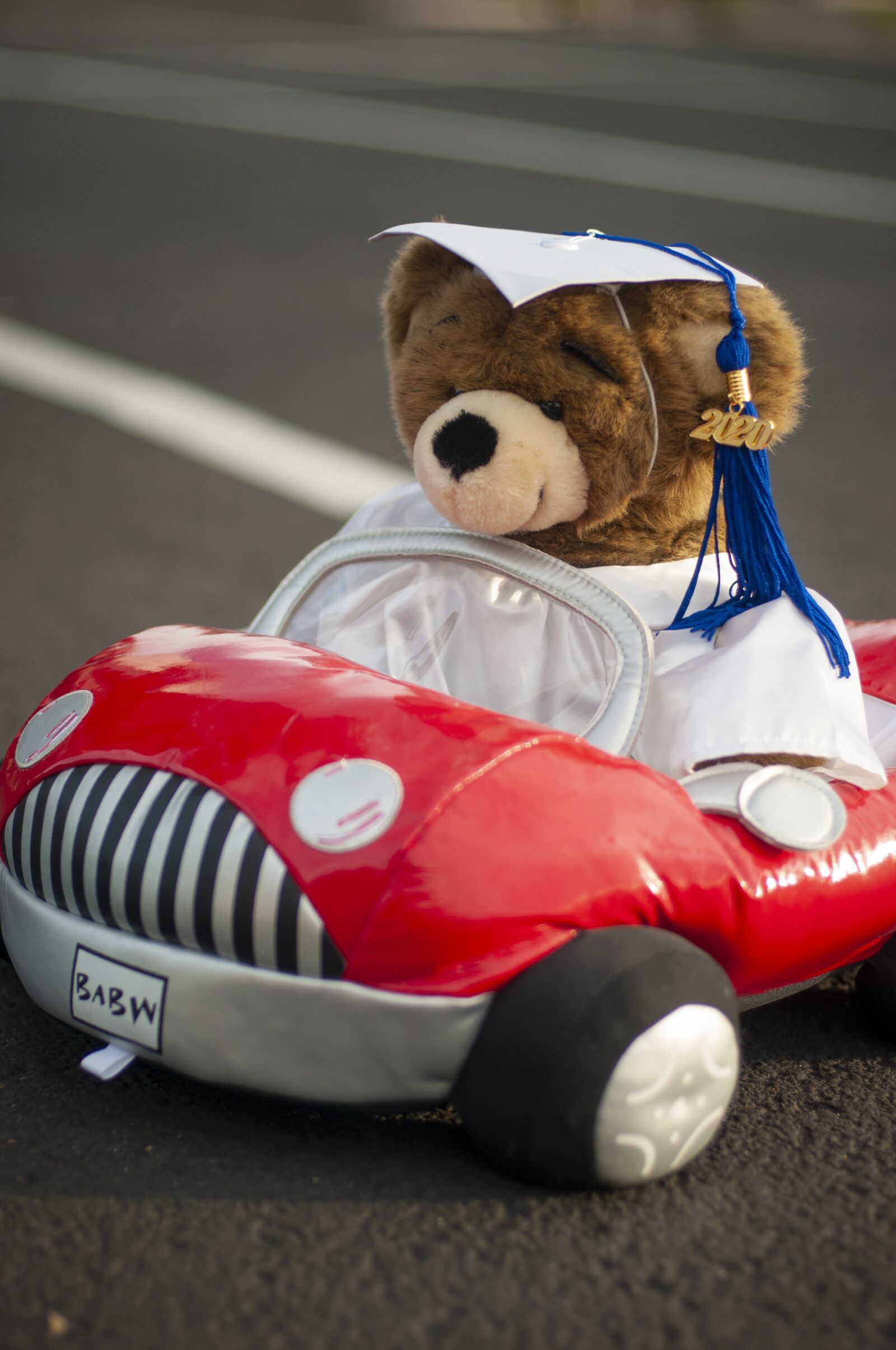 Nikon D300S sample photo. Teddy bear, graduate, cap photography